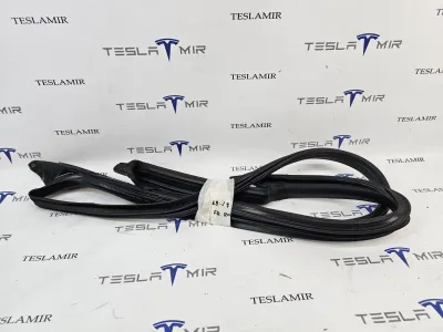Уплотнитель дверного проема передний правый Tesla Model 3 2023