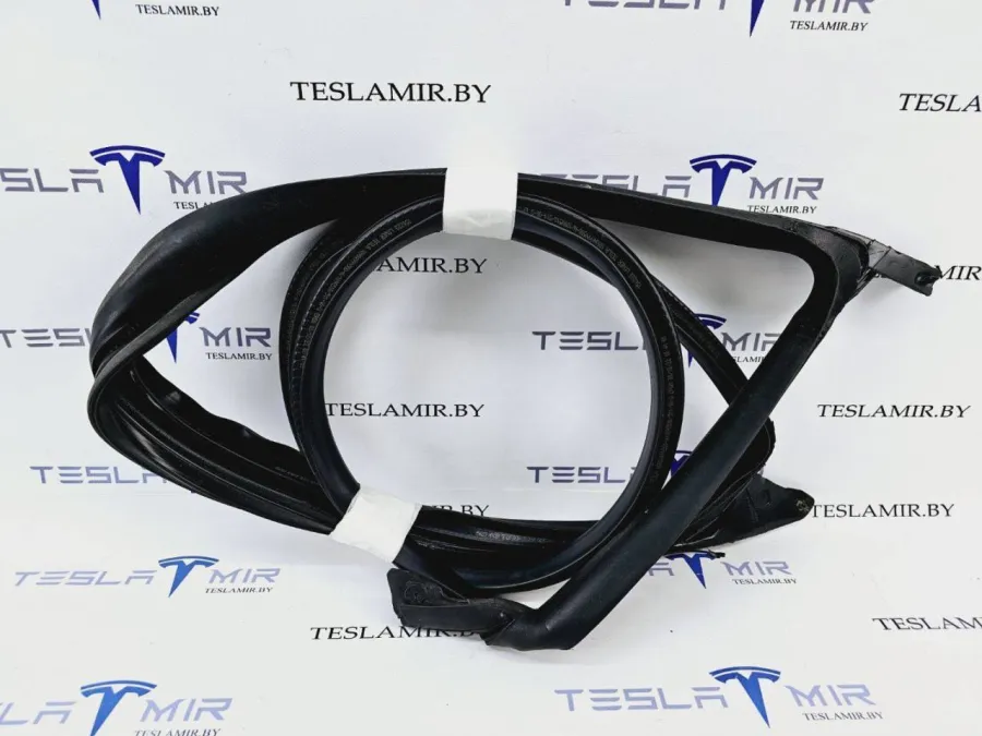 Уплотнитель дверного проема передний правый Tesla Model 3 2022 — фото 1